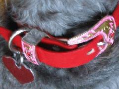 Dog-Collars-LeashRingatBuckle.jpg